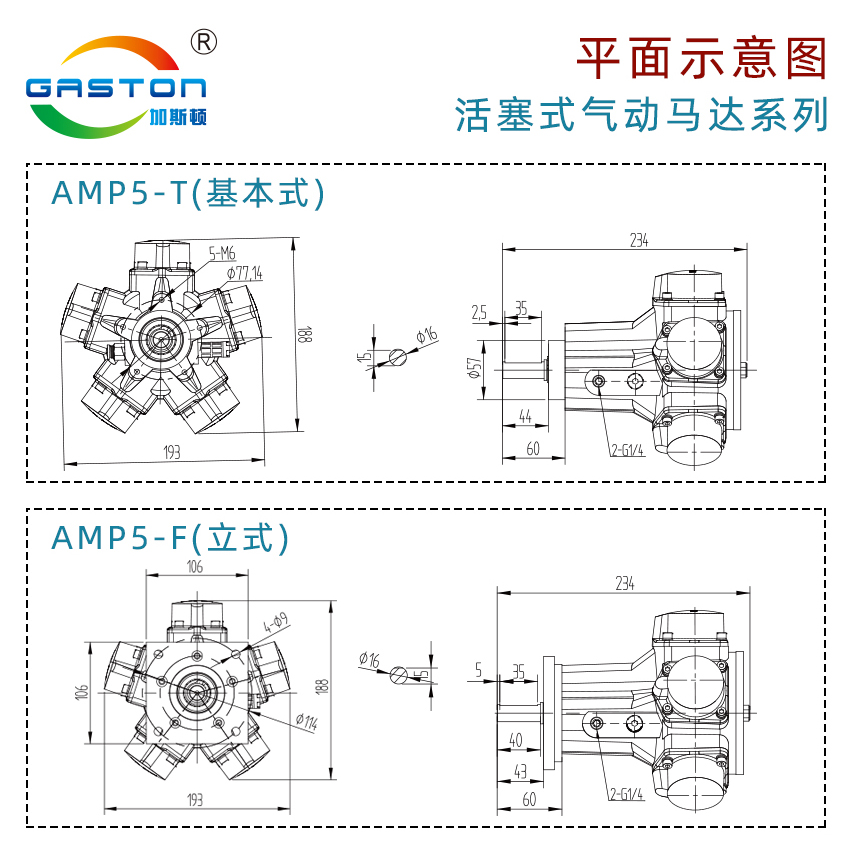 AMP5-F_14.jpg